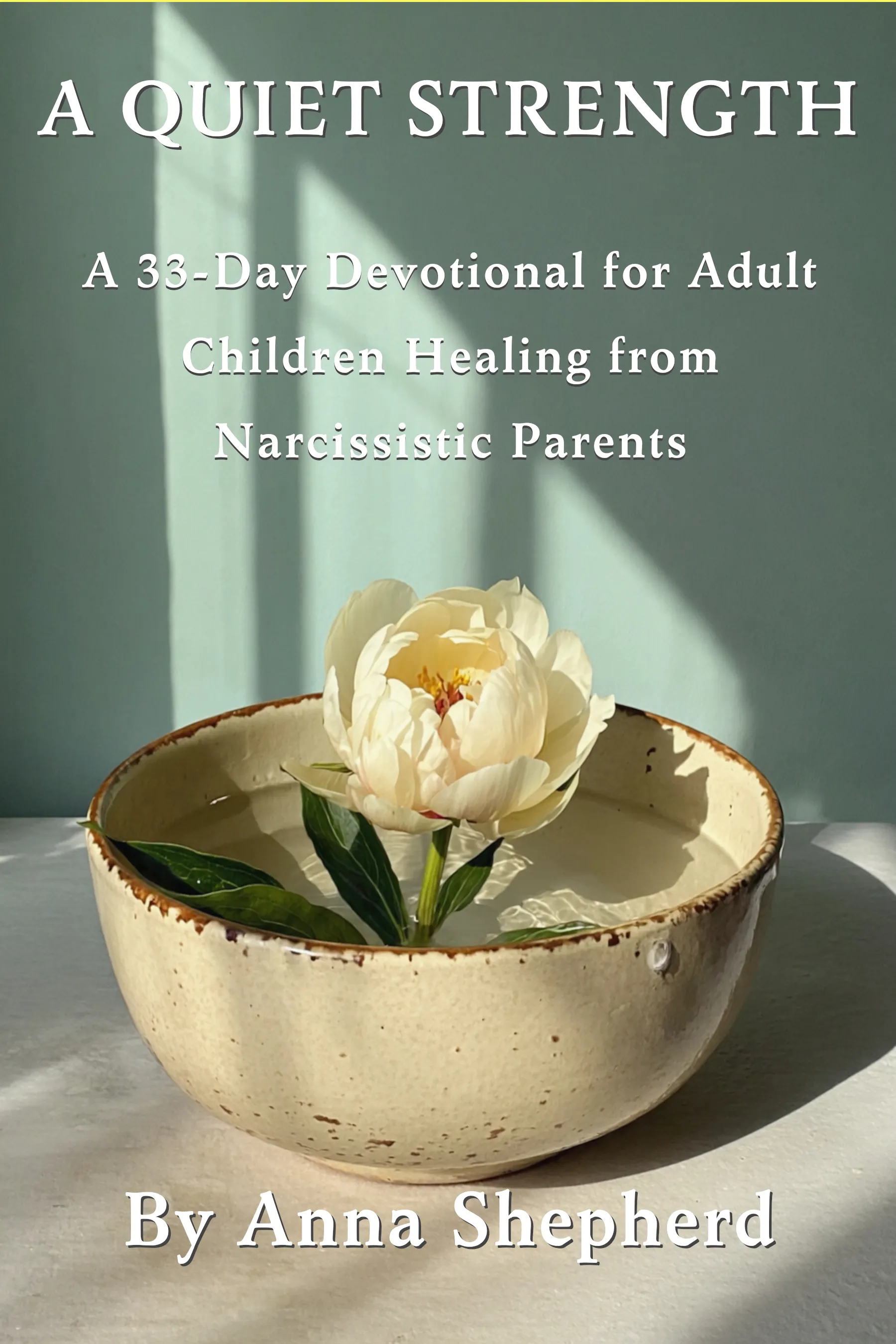 Cover of Faith and Narcissistic Abuse Recovery, Volume 2: A Quiet Strength