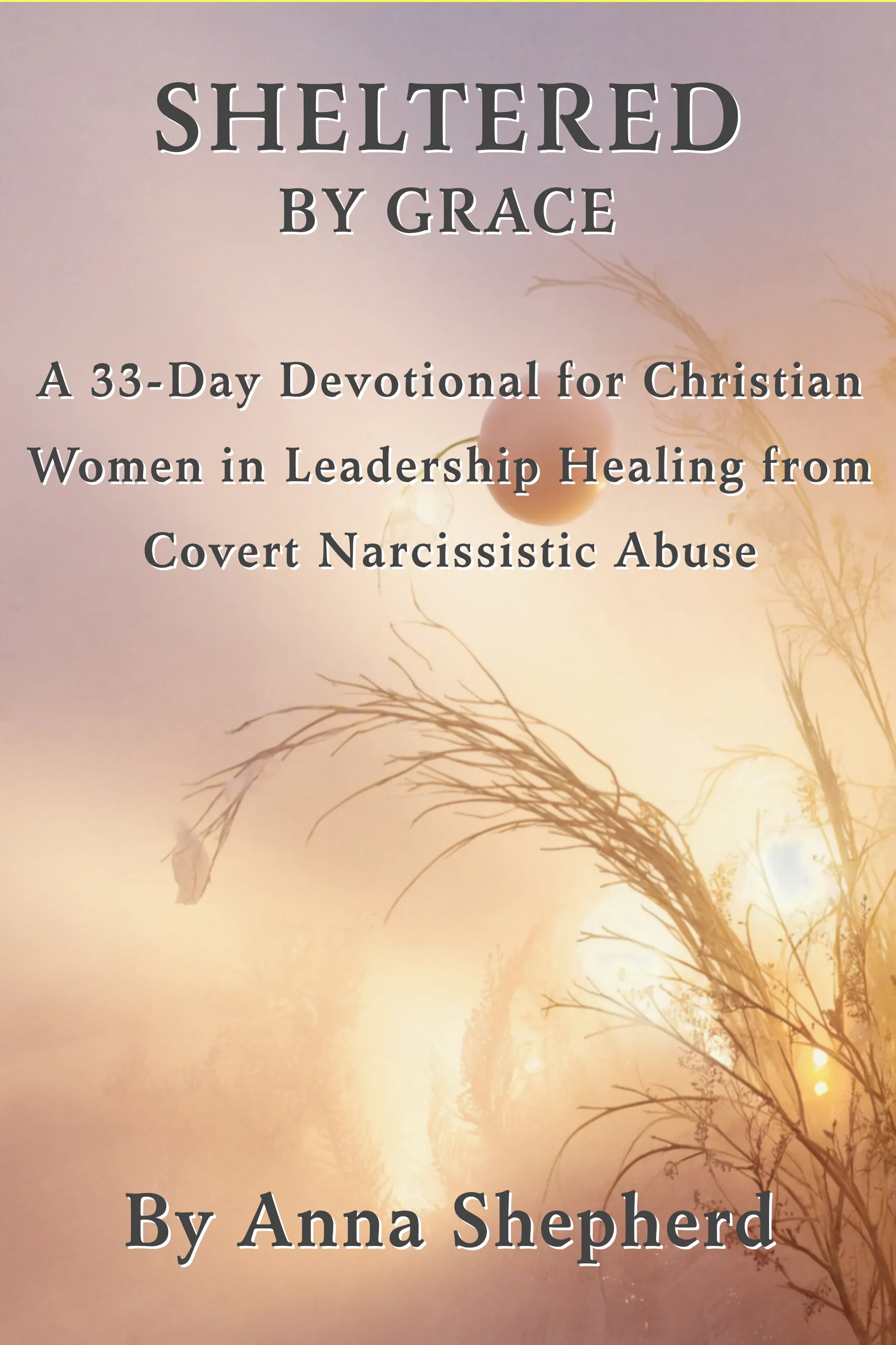 Cover of Faith and Narcissistic Abuse Recovery, Volume 4: Sheltered by Grace
